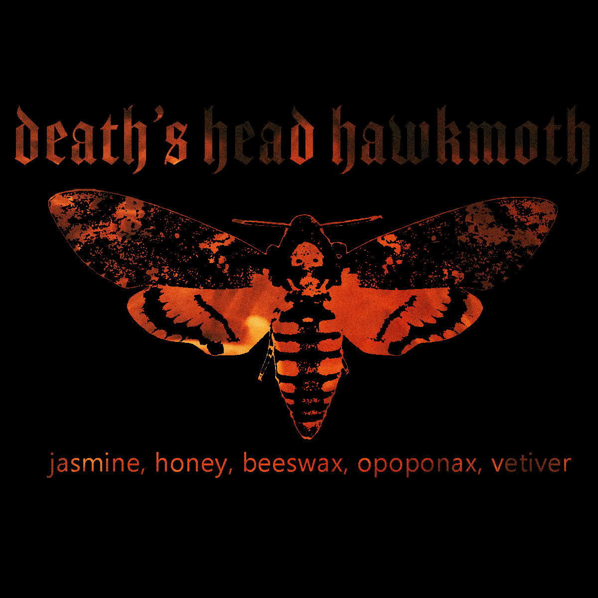 Death's-head Hawkmoth
