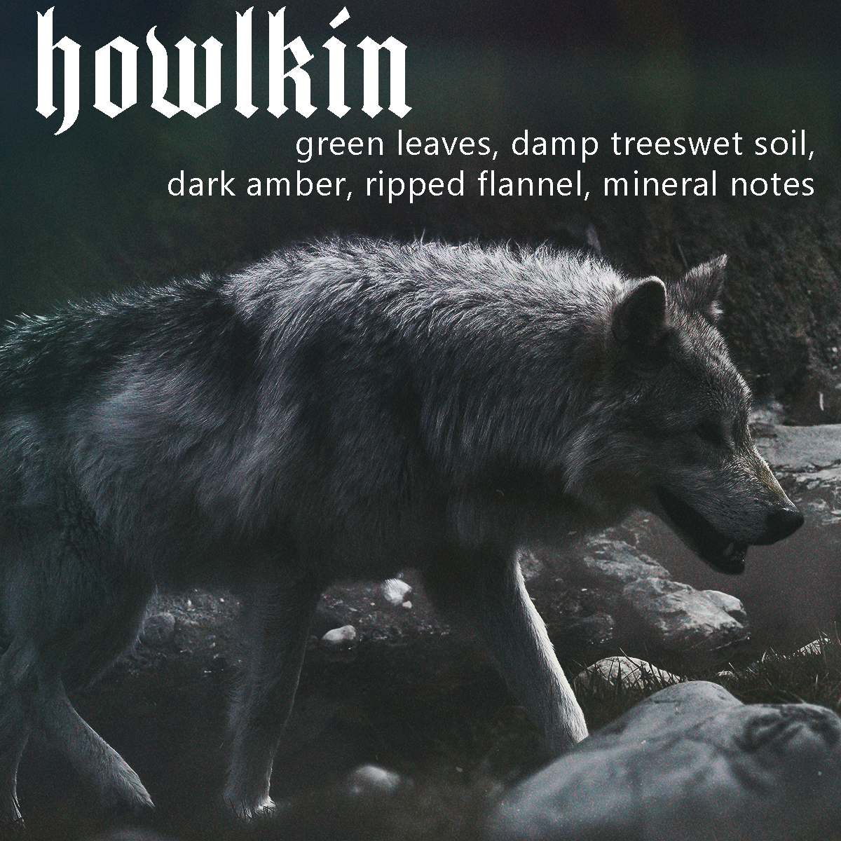 Howlkin