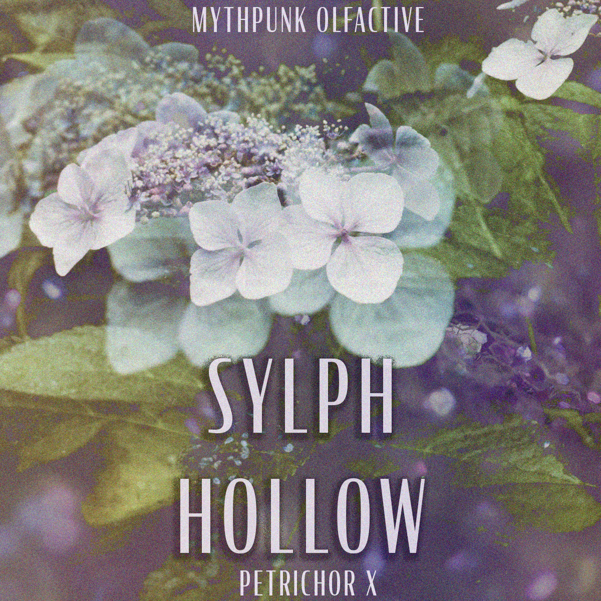 Sylph Hollow (PETRICHOR X)