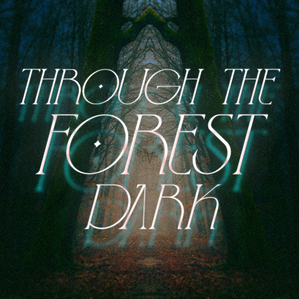 Through the Forest Dark