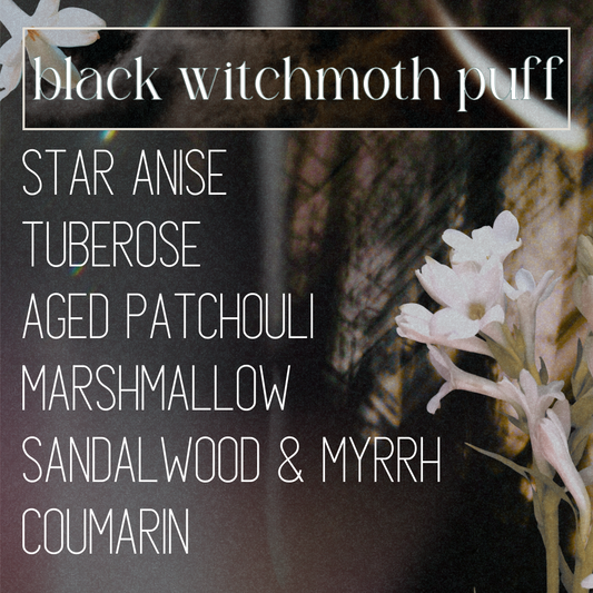 Black Witch Moth