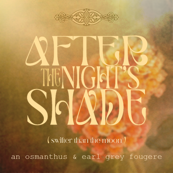 After the Night's Shade