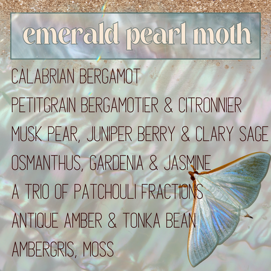 Emerald Pearl Moth (April 2023 Monthly Moth)