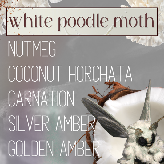 White Poodle Moth