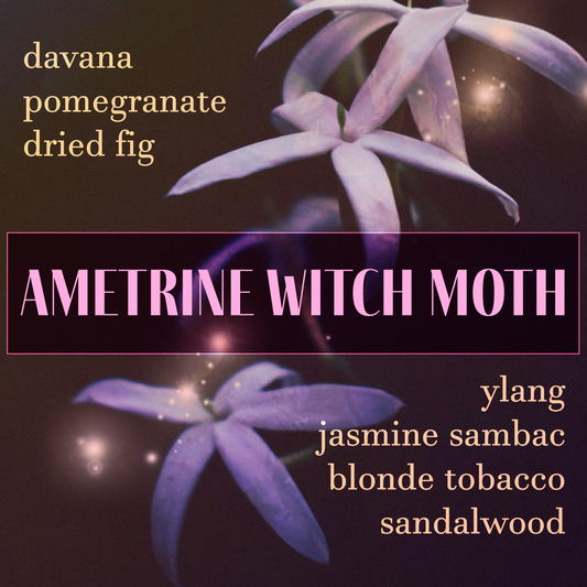 Ametrine Witch Moth