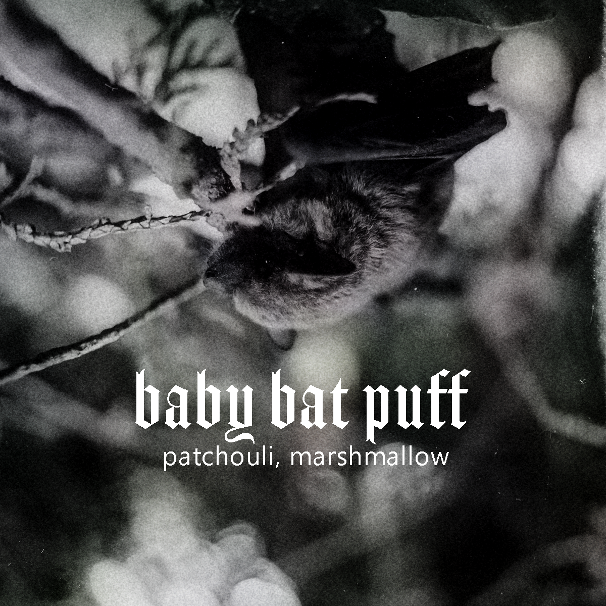 Baby Bat Puff